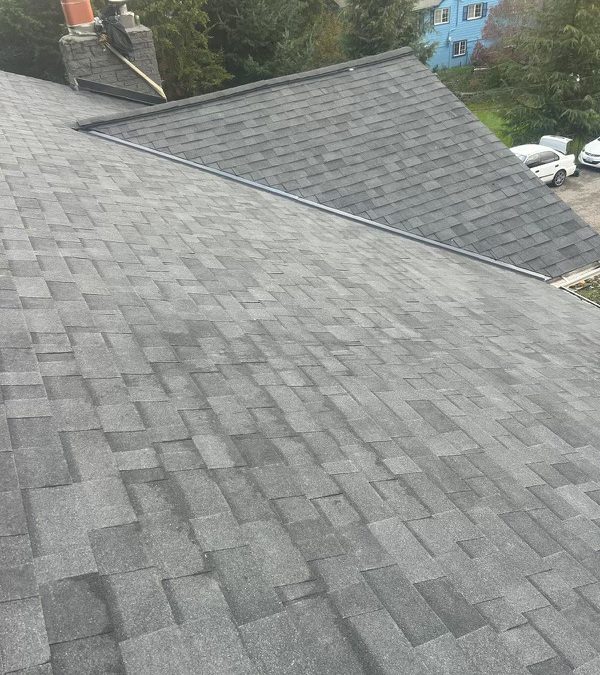 Roof 3