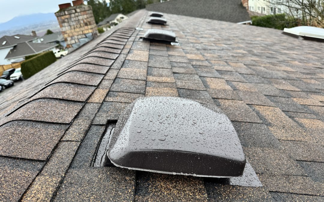 Roof 1